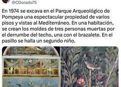 Enlace a El ADN reescribe la historia de Pompeya