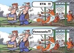 Enlace a El zorro y el gallinero