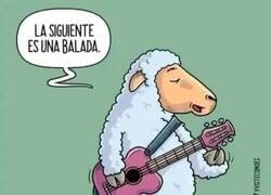 Enlace a Cuando una oveja se dedica a la música