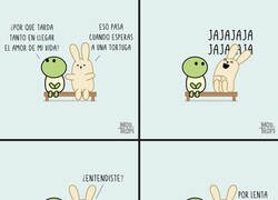 Enlace a Las tortugas son lentas...
