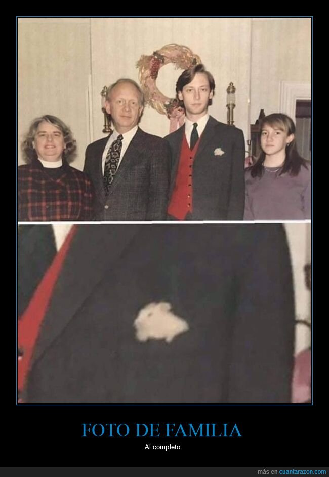 bolsillo,familia,ratón,wtf
