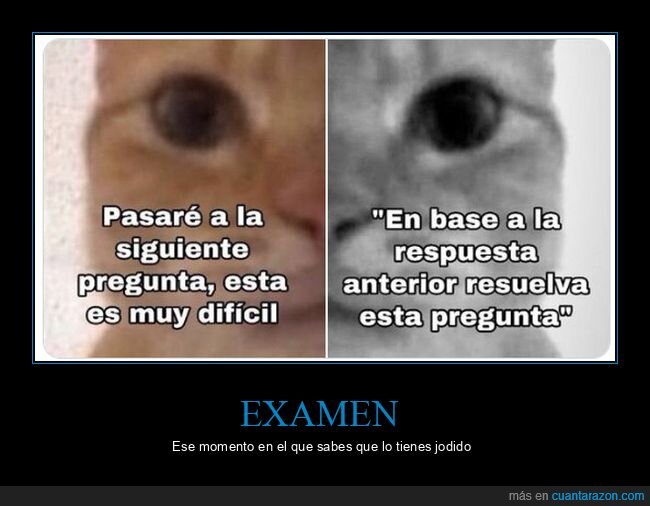examen,pregunta,respuesta,anterior