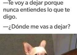 Enlace a Falta de comprensión