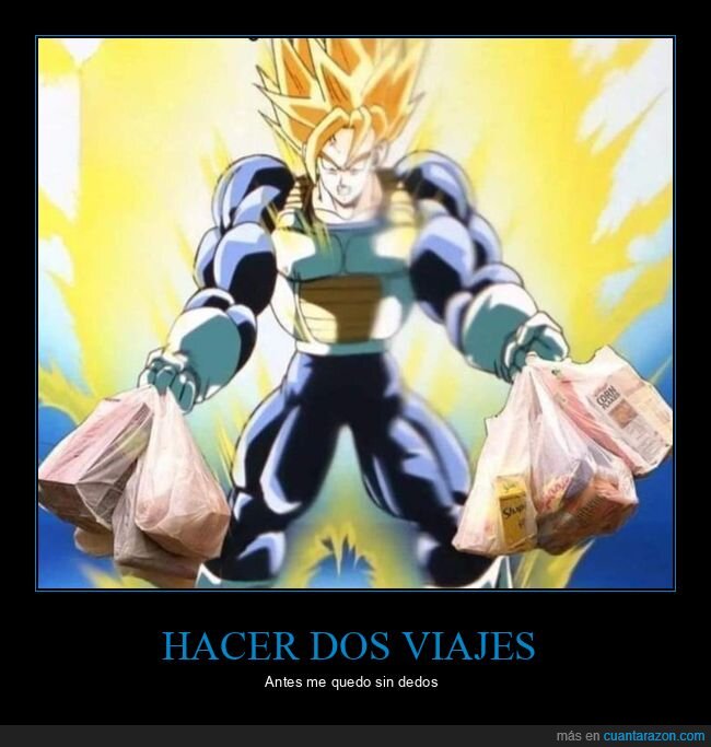 bolsas,dos viajes