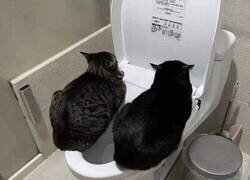 Enlace a Su sitio favorito