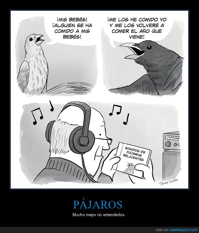 pájaros,sonidos,relajantes