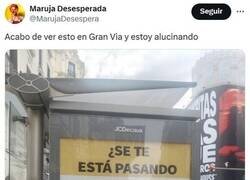 Enlace a Estás tardando en formar una familia numerosa