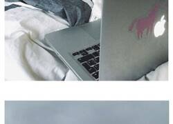 Enlace a De las mejores fotos de animales haciendo lo que les da la gana