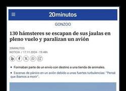 Enlace a Vuelo tomado por hámsters