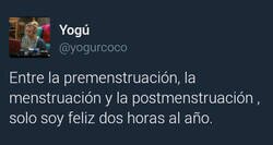 Enlace a La alegría de ser mujer