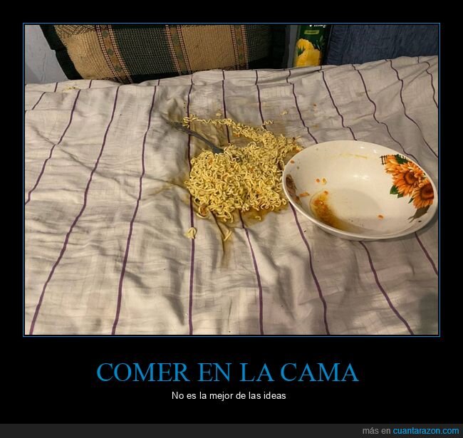 comida,cama,plato,fails