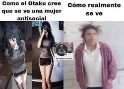 Enlace a Expectativas otakus