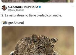 Enlace a Fotografías que muestran la cara más cruel de la naturaleza no aptas para sensibles