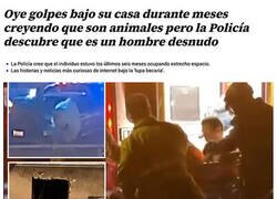 Enlace a No eran animales...