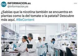 Enlace a ¿Tomate o tomaco?