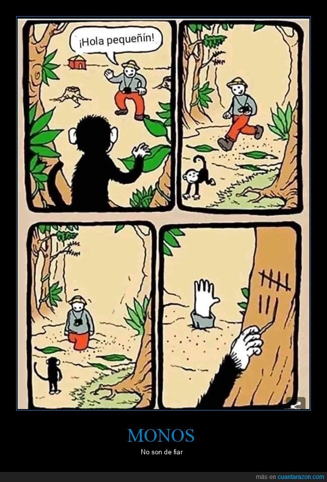 mono,arenas movedizas