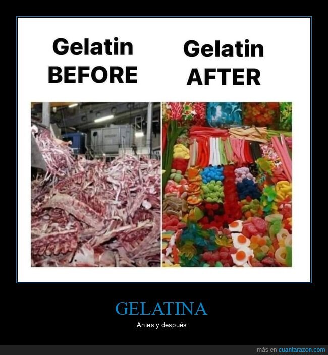 gelatina,antes,después