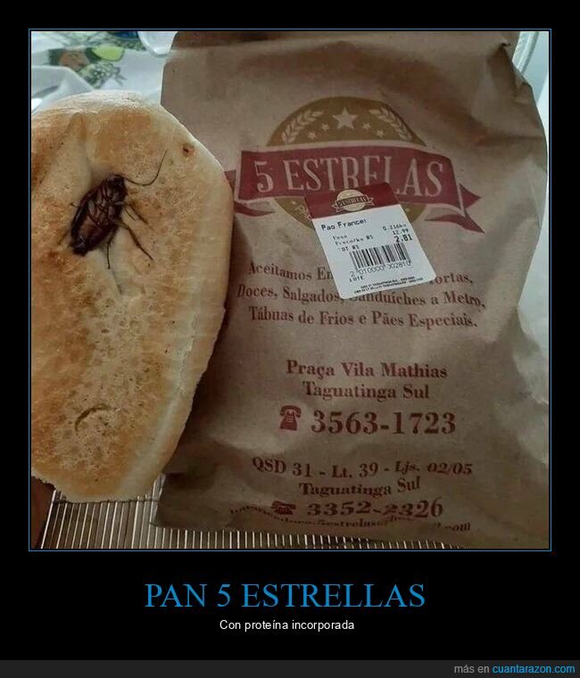 cucaracha,fails,pan