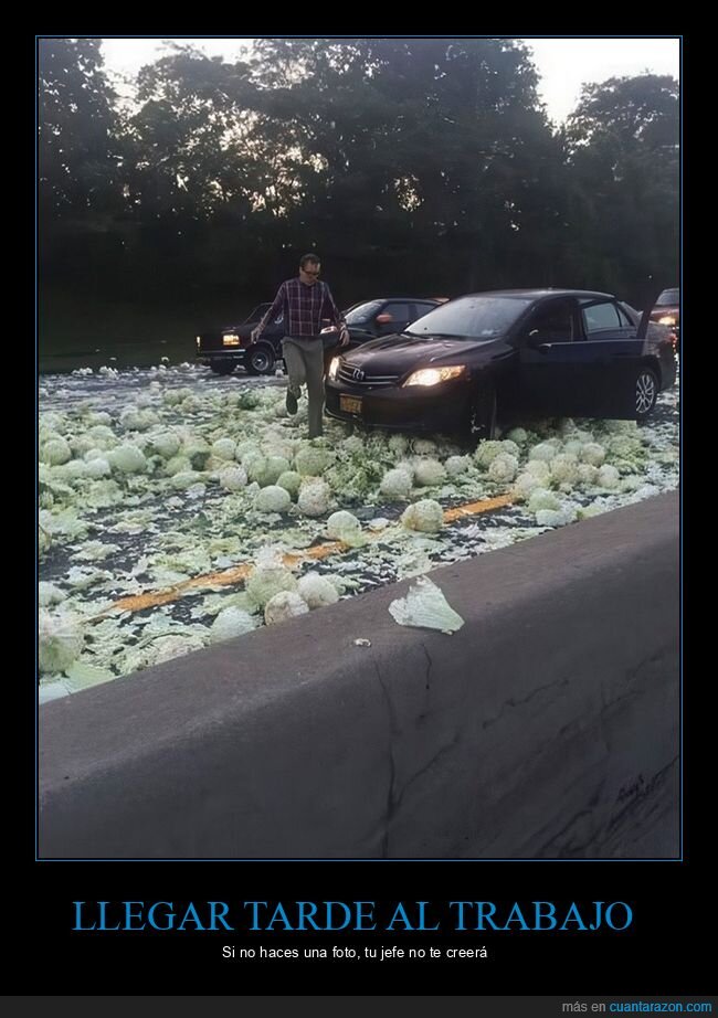 carretera,coches,fails,lechuga