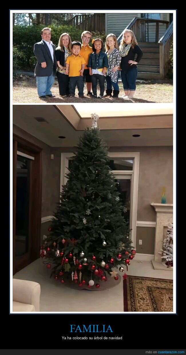 árbol de navidad,enanos