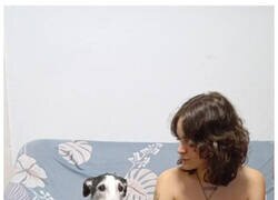 Enlace a Expresión reveladora