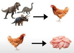 Enlace a El círculo se cierra