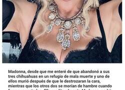 Enlace a Personas revelan por qué ya no sienten respeto alguno por ciertas celebridades