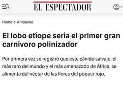 Enlace a Nuevos polinizadores