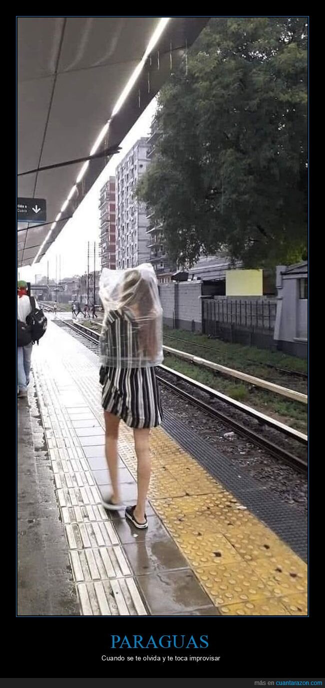 lluvia,plástico,wtf