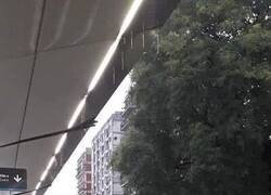 Enlace a Lo que sea con tal de no mojarse el pelo