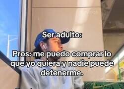 Enlace a Pros y contras