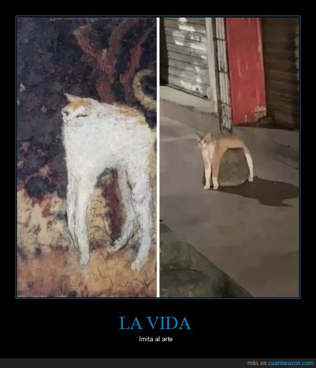 gatos,arte,aprecidos