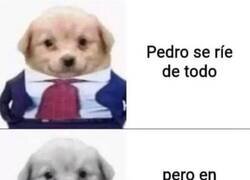 Enlace a Lo que la risa oculta