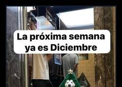Enlace a A tope con el espíritu navideño