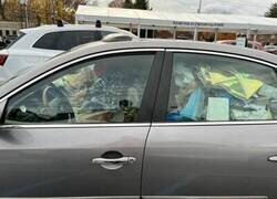 Enlace a Coche con diógenes