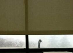 Enlace a Ese momento en el que te sientes observado...