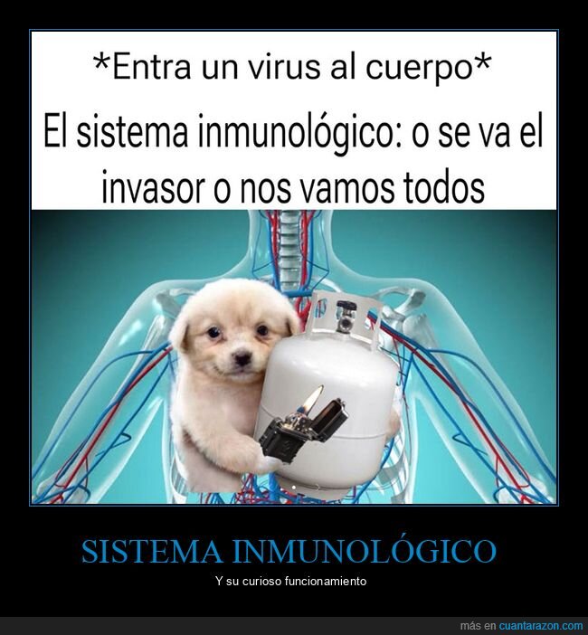 sistema inmunológico,virus