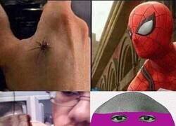 Enlace a Mucho cuidado con las tortugas