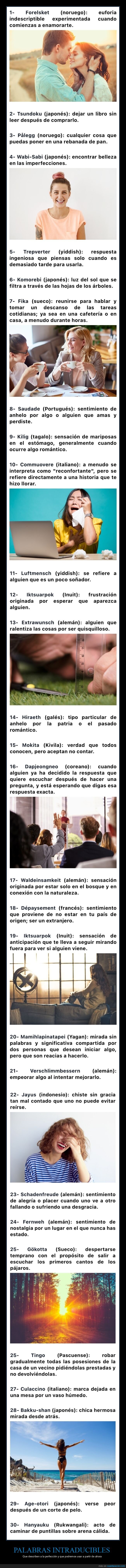 palabras,intraducibles