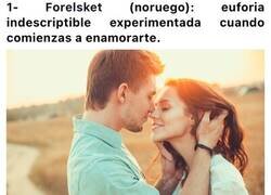 Enlace a Palabras intraducibles al español que describen a la perfección y que podremos usar a partir de ahora