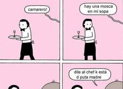 Enlace a Una mosca en la sopa
