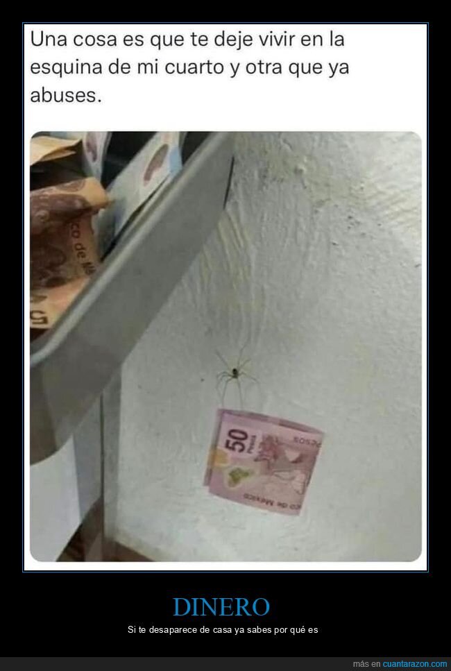 araña,billete,dinero