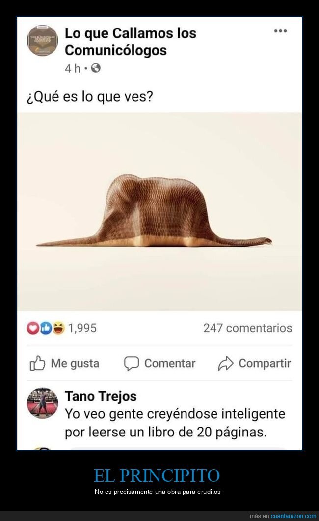 el principito,sombrero,elefante,serpiente