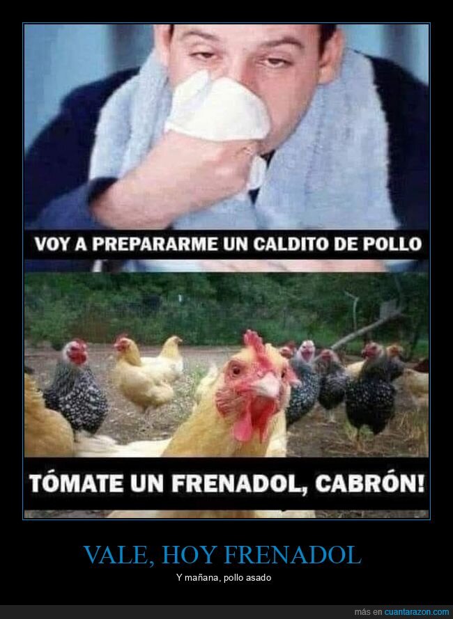 resfriado,caldo de pollo,frenadol