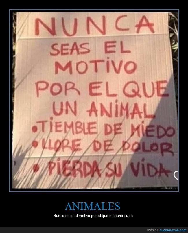 animales,motivo,sufrir