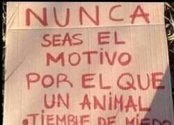 Enlace a Nunca lo seas