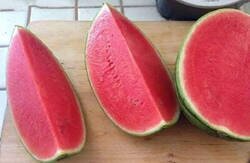 Enlace a La sandía perfecta