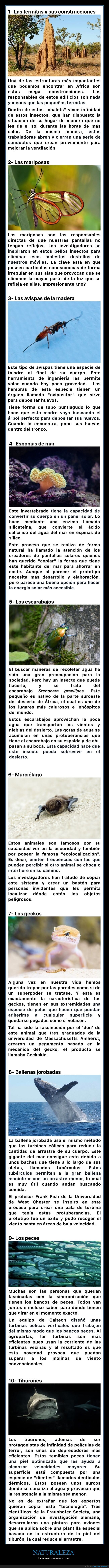 naturaleza,curiosidades