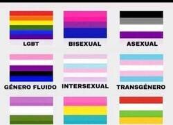 Enlace a Orgullo riojano