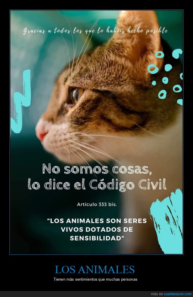 animales,código civil,sensibilidad